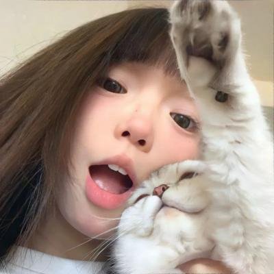 冷静，叔比狗! 在线观看