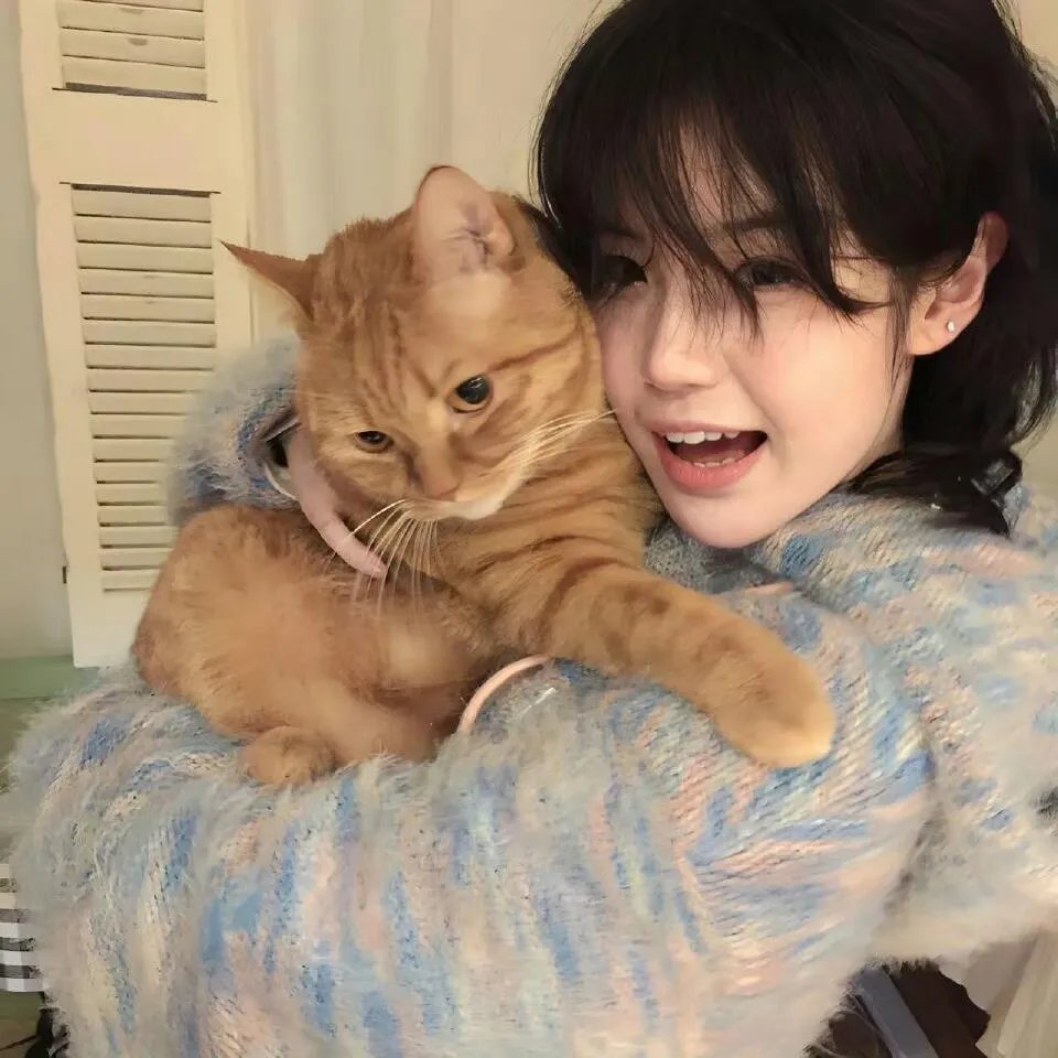 先婚后宠小娇妻第三季 在线观看