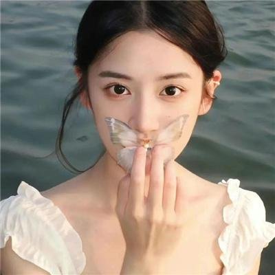 盛世仁杰国语 在线观看